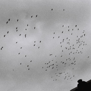 公园被动物舔逼畜人性交
